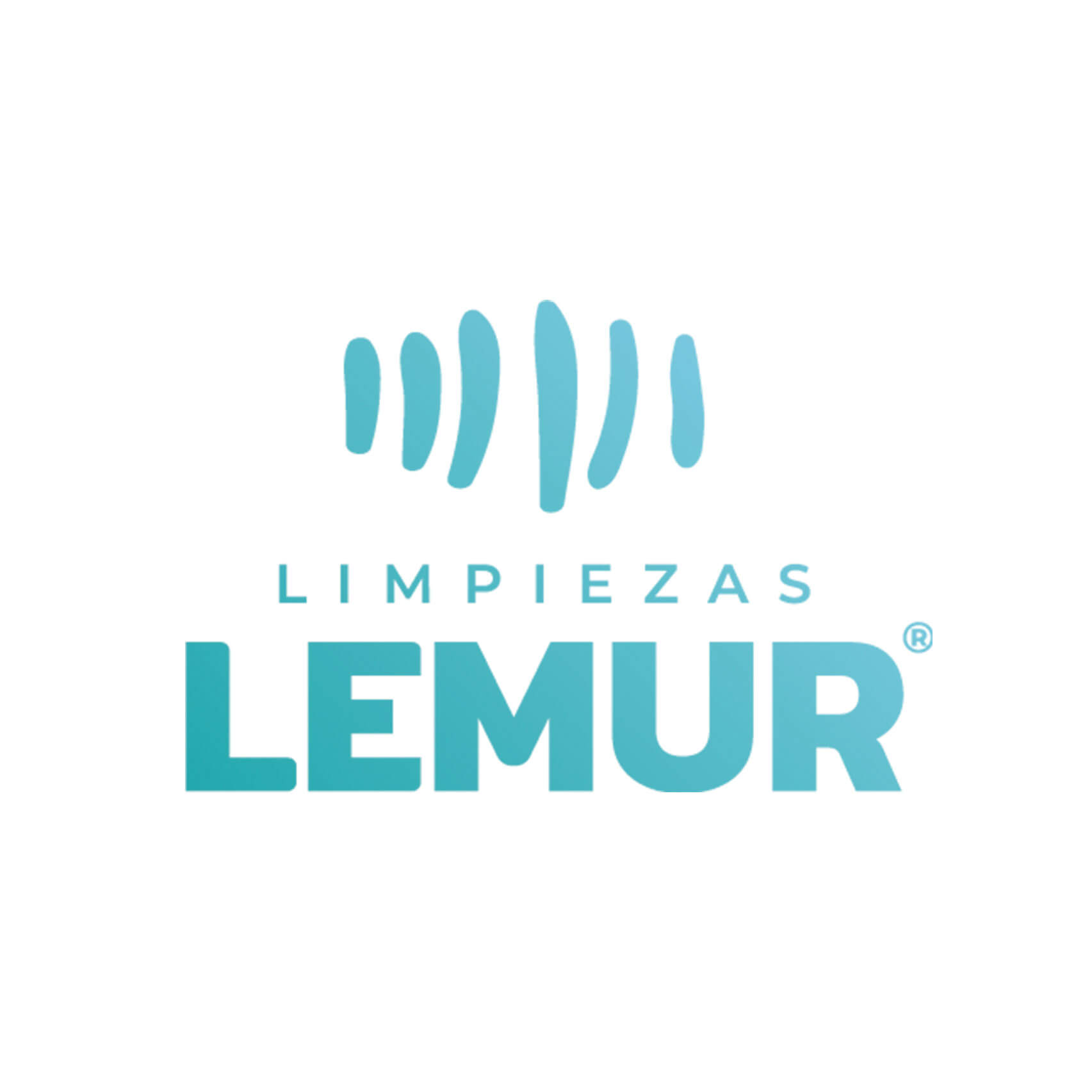 Branding y posicionamiento digital para Limpiezas Lemur