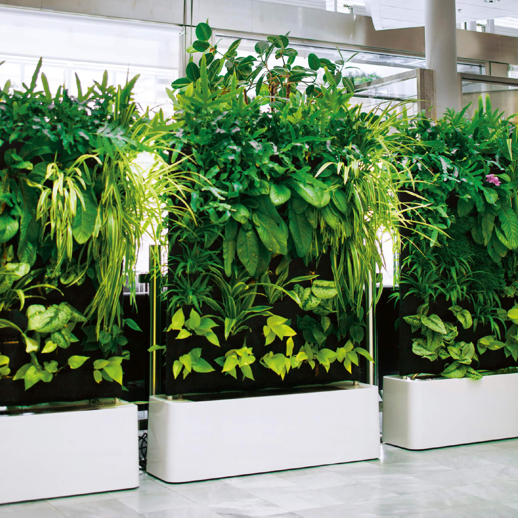 Diseño corporativo y naming para Plantes