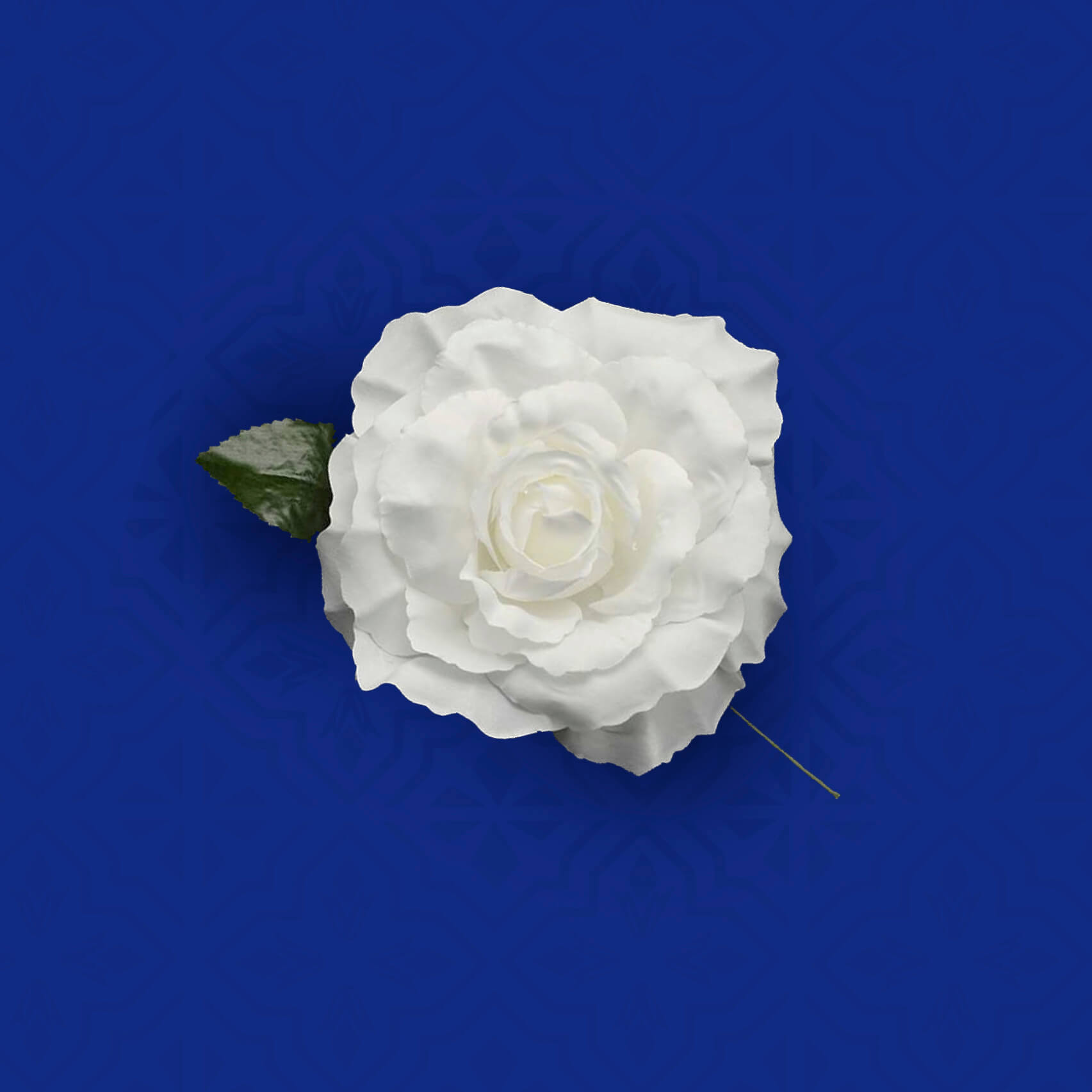 Colaboración creativa para RedBull